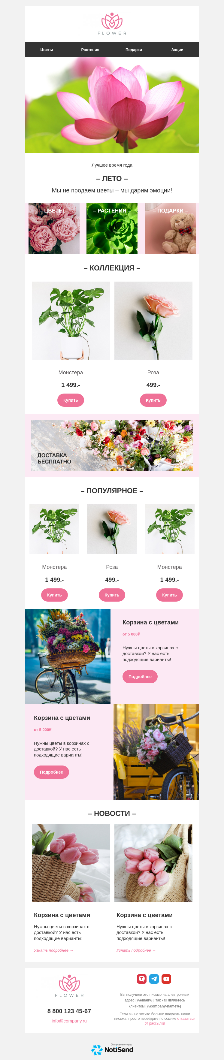 Летние предложения