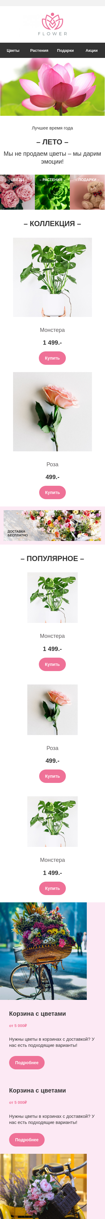 Летние предложения